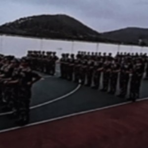 行为训练