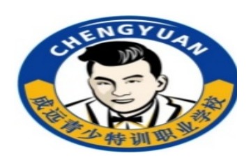 2025资阳正规叛逆期孩子戒网瘾学校十大排名榜