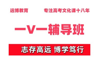 武汉高考一V一培训机构排名前十