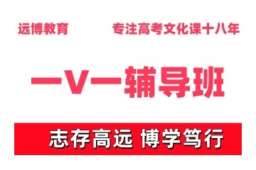 武汉地区十大高中一V一辅导班排名汇总
