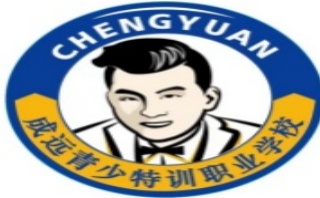 成都排行榜10大青少年叛逆学校名单出炉