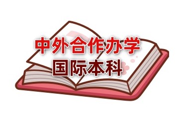 江苏中外合作办学2+2国际本科申请机构实力汇总