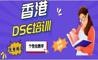 福州靠谱的DSE综合培训机构推荐